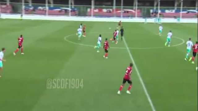 Ristic faz o segundo golo do Benfica
