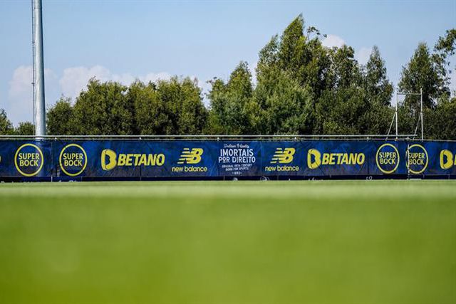 Olival volta hoje a ganhar vida