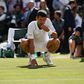 Será que Djokovic vai comer relva em Wimbledon pela oitava vez?