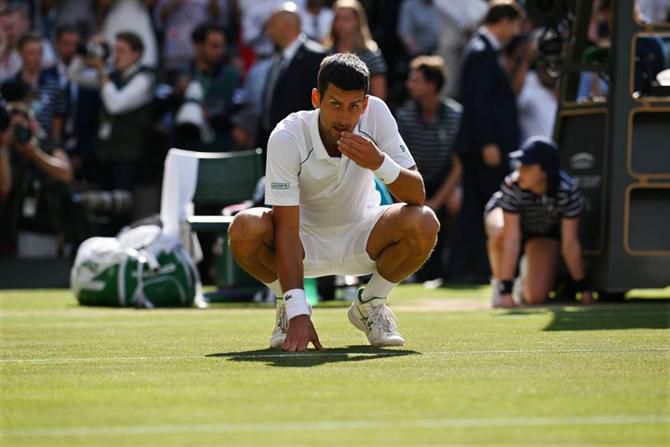 Será que Djokovic vai comer relva em Wimbledon pela oitava vez?