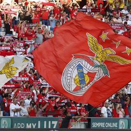 TVI: Ministério Público investiga 12 jogos por suspeitas de subornos feitos  pelo Benfica - Benfica - Jornal Record