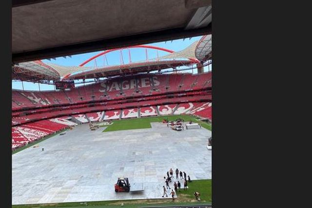 Veja como está o relvado da Luz