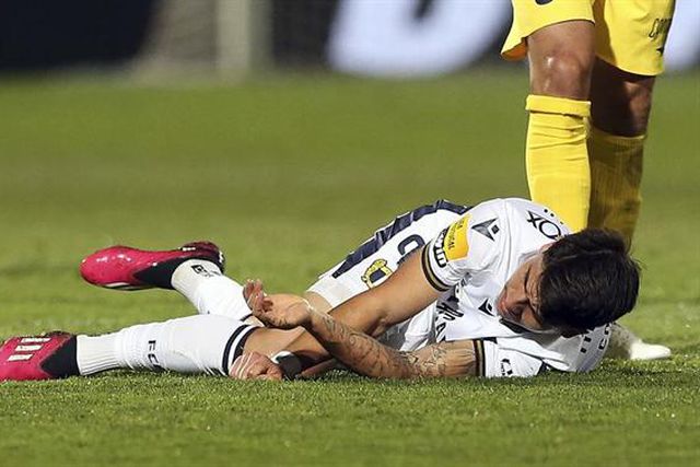 Colombatto vítima de luxação ou fratura