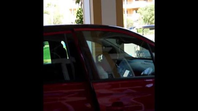 Provocação? Sevilha mostra regresso de José Ángel e anuncia que vai começar a treinar-se