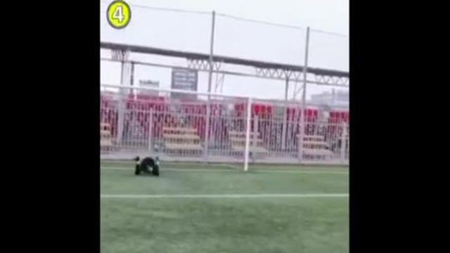 Desafio 30 de Duarte Gomes