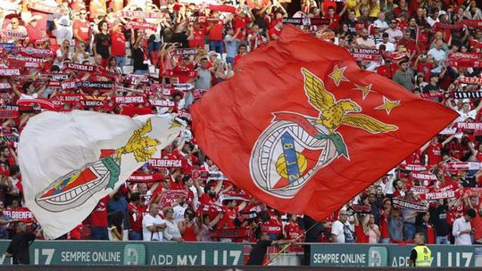 Movimento Servir o Benfica exige saída de Domingos Soares de Oliveira