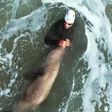 Triatleta português atacado por foca em praia dos EUA