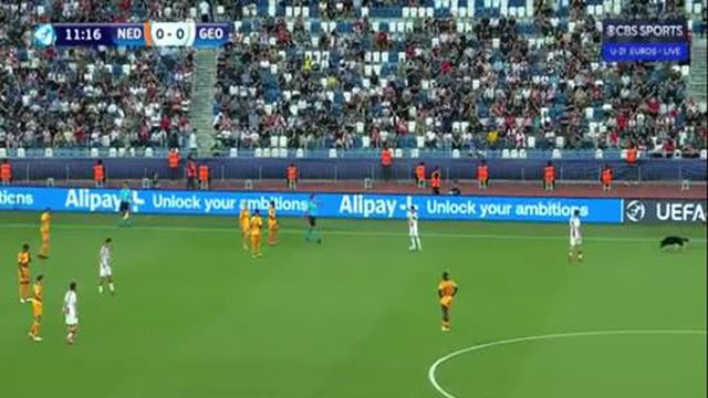 Insólito: Cão interrompe jogo do grupo de Portugal