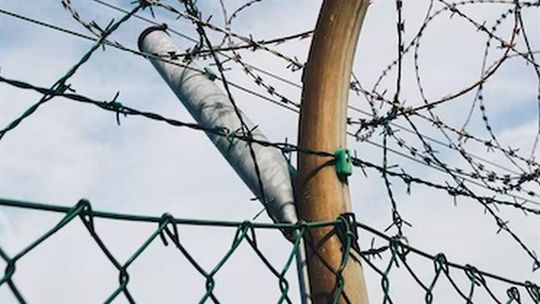 Insólito: guardas prisionais proibidos de usar telemóvel por causa do Mundial