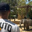Jurásek visita Jardim Zoológico de Lisboa