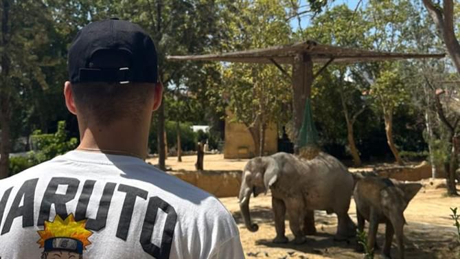 Jurásek visita Jardim Zoológico de Lisboa