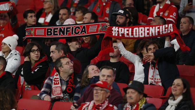 O espetáculo no Estádio da Luz antes do Benfica-Boavista (vídeo)