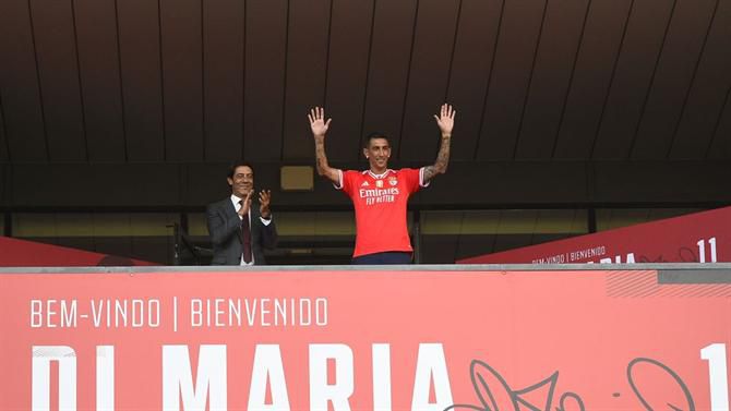O regresso do herói no balcão real do Sport Argentina e Benfica