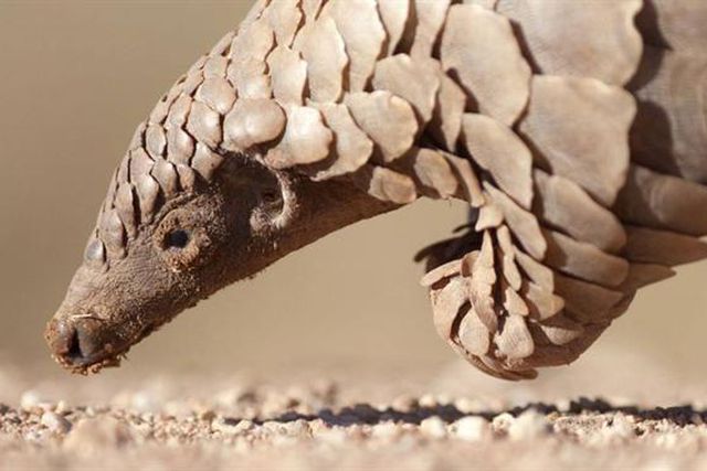 Karma’s a bitch! (artigo de José Manuel Delgado)