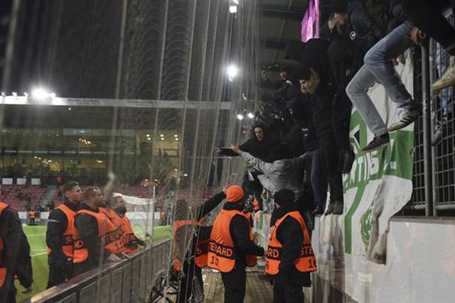 Pirotecnia: leões condenam mais um incidente que feriu criança e 'steward'