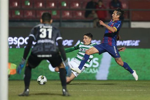 «Sabor agridoce na estreia: nunca atirámos a toalha ao chão»