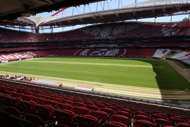 As primeiras imagens do novo relvado da Luz