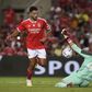 Sondagem: Benfica faz bem em vender Gonçalo Ramos ao PSG? Veja o resultado final