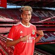 Mercado Total: chegar antes a Wynder (Benfica) e Bassette (FC Porto) e acreditar no potencial