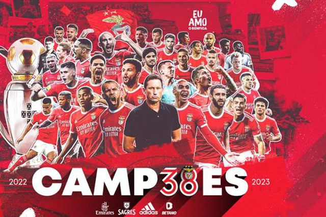 O poster com todos os campeões