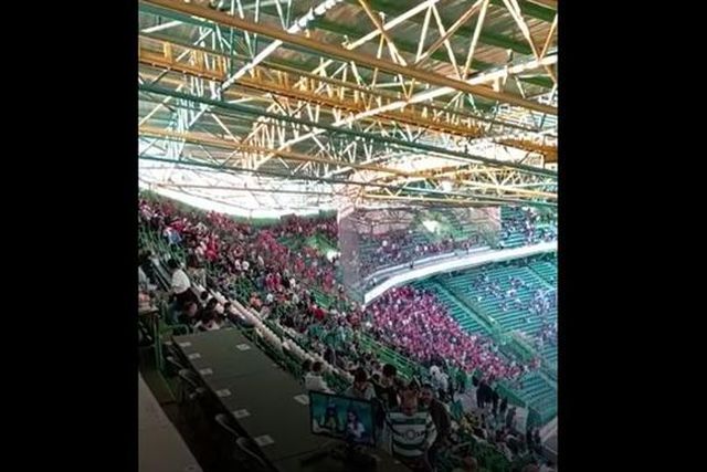 Lamentável: Adeptos do Benfica imitam sons de 'very lights' (vídeo)