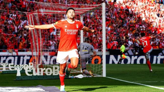 Recordar é viver? Aí estão os 82 golos do Benfica na Liga (vídeo)