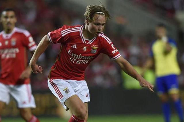 Schmidt radiante com o crescimento de Schjelderup