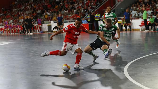 Hoje joga-se o Jogo 4 da final do Nacional de Futsal e Sporting pode ser  campeão na Luz - Futsal - SAPO Desporto