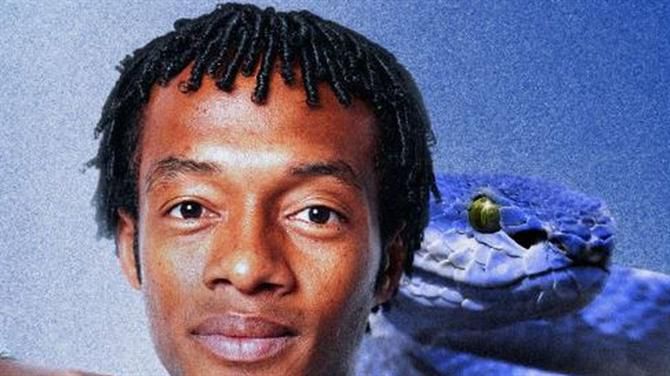 Oficial: Cuadrado a 'custo zero'