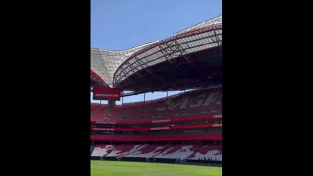 Salvio voltou a casa