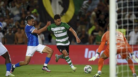 Pedro Gonçalves após o empate com o Genk: «Queremos entrar fortes no campeonato»