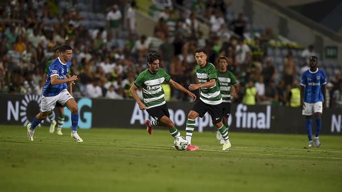 Sporting Garantia De Pedro Gonçalves: «Daqui A Umas Semanas Vou Renovar ...