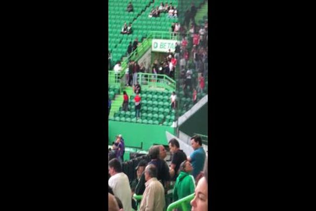 Agressões nas bancadas em Alvalade