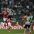Conselho de Disciplina abre processos disciplinares a Sporting e Benfica