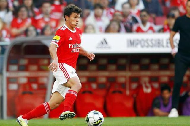 Sondagem: O valor justo da cláusula de rescisão de João Neves é 60 milhões de euros? Veja o resultado final