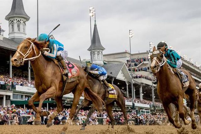 Morte de 12 (!) cavalos antes, durante e após Kentucky Derby: investigação em curso