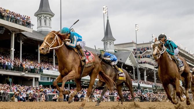 Morte de 12 (!) cavalos antes, durante e após Kentucky Derby: investigação em curso