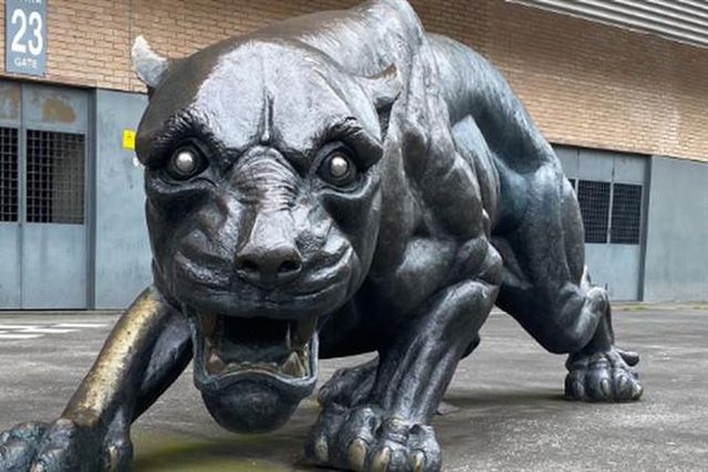 Pantera no Bessa vandalizada: a reação dos axadrezados