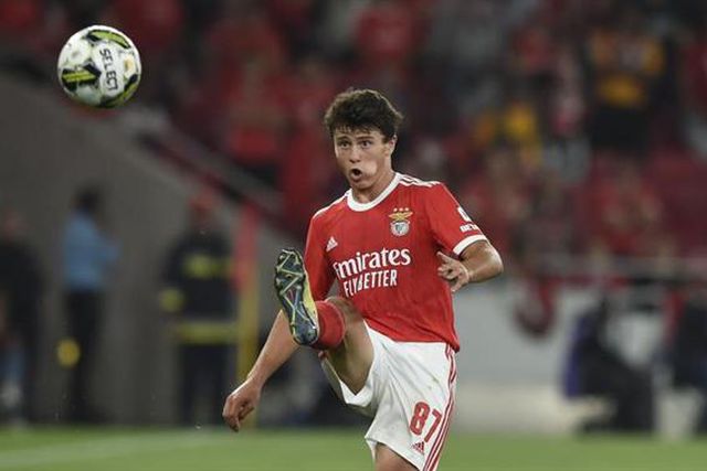 «João Neves é uma maquinazinha, mas não vai ficar muito tempo»