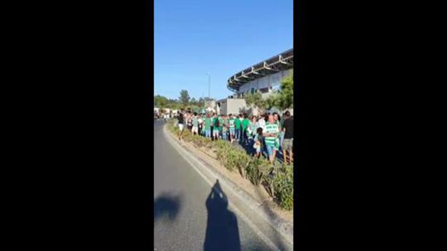 Loucura leonina em Rio Maior!