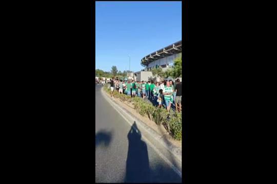 Loucura leonina em Rio Maior!