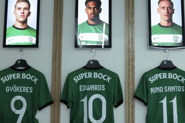 O 'novo' balneário dos leões (vídeo)