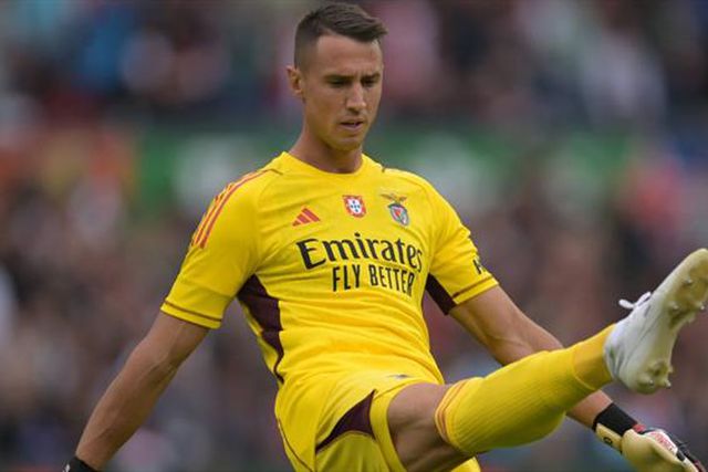 «Schmidt não pode dizer o que disse sobre Vlachodimos»