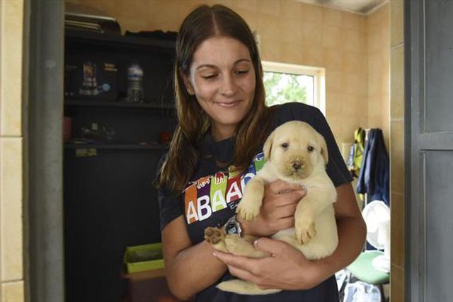No reino encantado da escola de cães-guia para cegos da Mortágua dos campeões