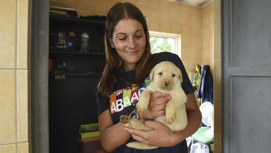 No reino encantado da escola de cães-guia para cegos da Mortágua dos campeões