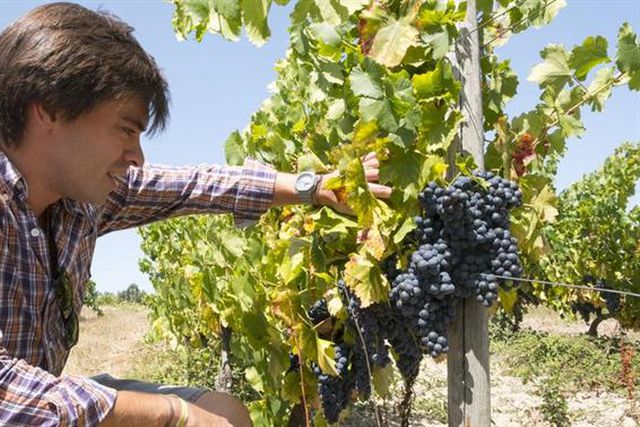 O ex-ciclista que fintou o destino e a ‘reforma compulsiva’ aos 25 anos, amando a terra
