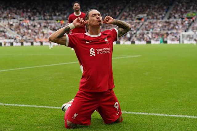 «Doze meses à espera de Darwin. Finalmente, chegou!»