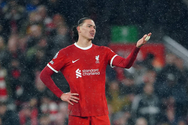 A estatística que faz Darwin ser apelidado de… carpinteiro