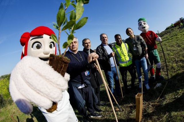 FPF ajuda a plantar 1600 árvores e arbustos