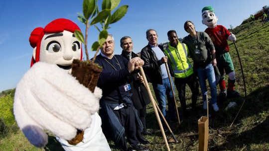 FPF ajuda a plantar 1600 árvores e arbustos